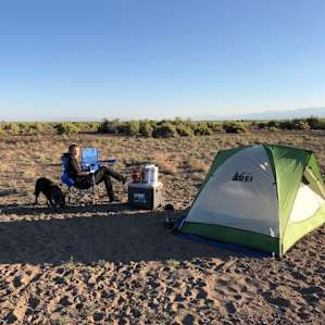 Colorado Desert Life