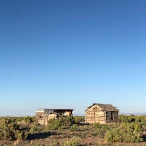 Colorado Desert Life
