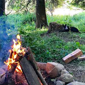 Camp at The Brew Farm!
