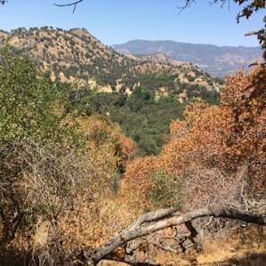 View from our trek up their "mountain" on the property