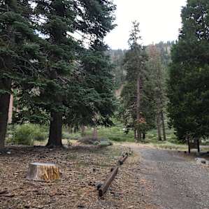 Lupine Campground
