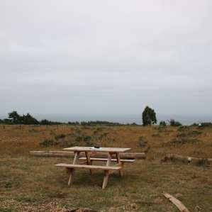 The view from the picnic table