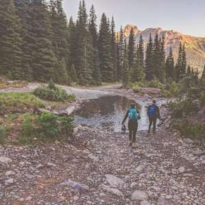 Imogene Pass Catered Glamping