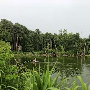 Rock Hill Campsite
