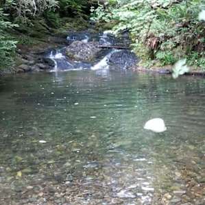 Wonderful hidden creek & swimming hole behind the campground.