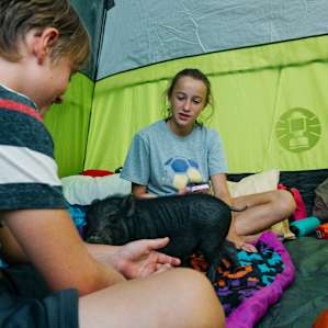 The kids couldn't get enough of the baby pig and were thrilled when he was allowed to come play in the tent