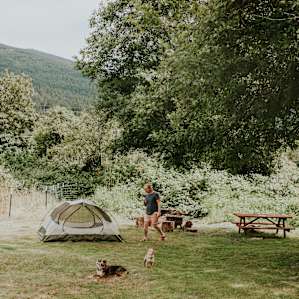 tent forest people