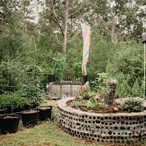 The garden area.
