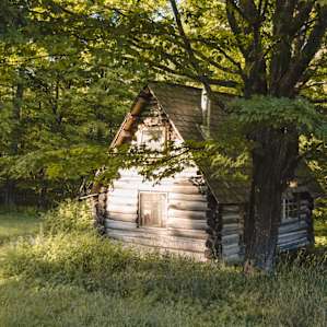 The cabin is secluded by trees and wildflowers.