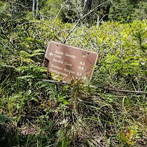 There's a trail from the campground to the coast... sort of.