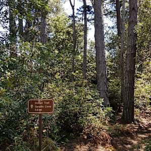 Trailhead at the campground, near site 34.