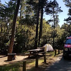 Site 34: fire pit, picnic table, grassy lawn with room for a tent or two.