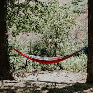hammock activity