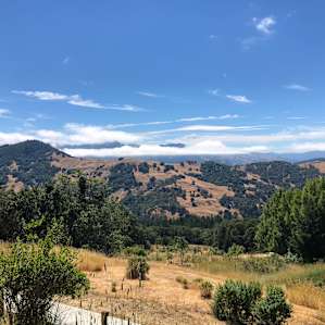 View from the back of the lodge