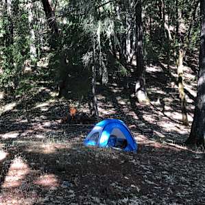 You can pick a camp site anywhere in the designated camping areas in the forest