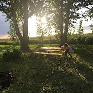 sun goes down on the plain