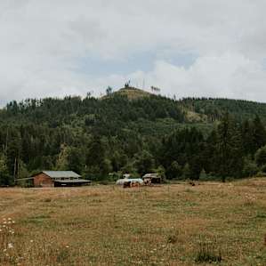 Cozy Valley Farm Camp