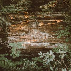 Hard to tell from the photos, but this canyon probably has 40+ ft walls--some great exploring options!!