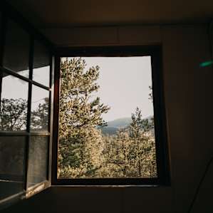 My view from the bed in the morning.