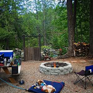 Sitka enjoying the firepit