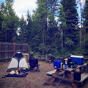 Valleyhi Camp