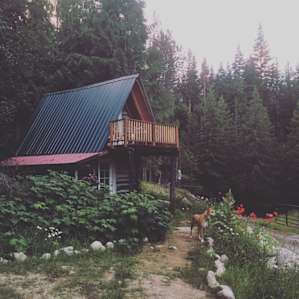 Phoenix Rising Rustic Cabin