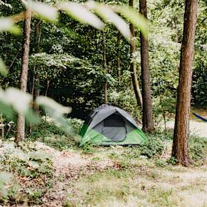 tent forest lodging