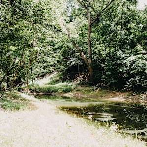 Plenty of privacy down here and a pretty great swimming hole to cool off in!
