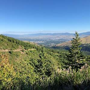 The Lookout