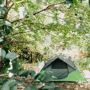 My little campsite in a perfectly shady spot on the back of the property to the left of the driveway