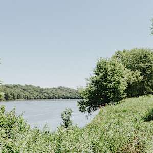 forest water