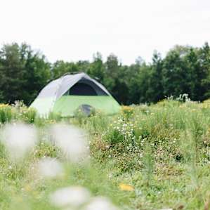 tent forest lodging