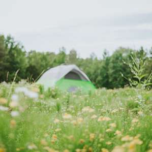 tent forest lodging