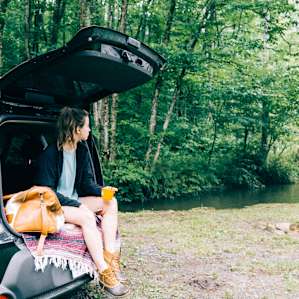 forest people van