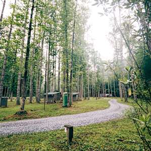 forest