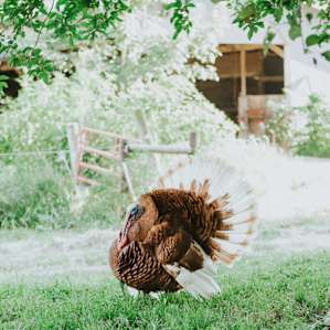 He was my welcoming committee