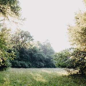 imagine your tent here...