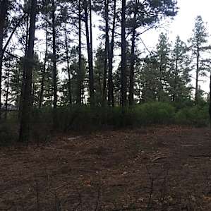 Peaceful boondock mountain camping