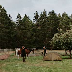 tent people horse