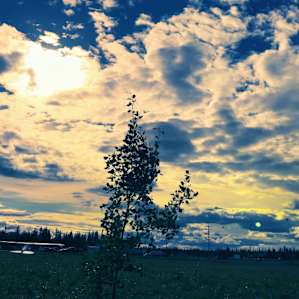 View from the camper