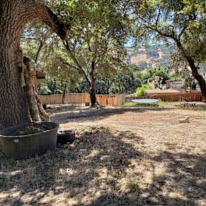 Looking into the property from just inside the gate. You can see the camping area in the lower left.