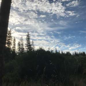 Sunrise at the site.