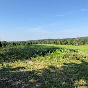 Thornhill Farm Campsite