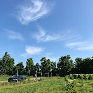Thornhill Farm Campsite