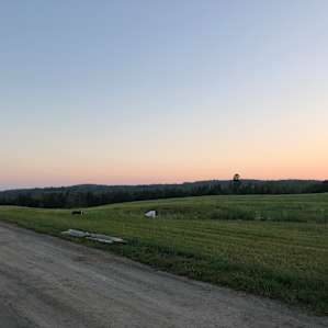 Thornhill Farm Campsite