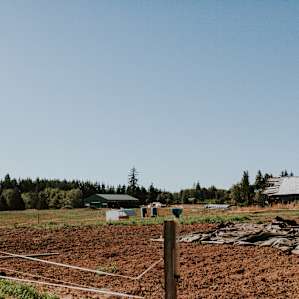 farm