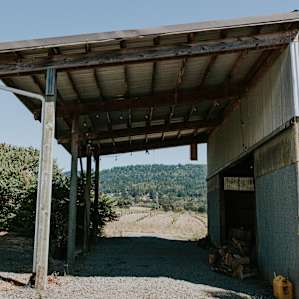 Farm Country Hazelnut Orchard