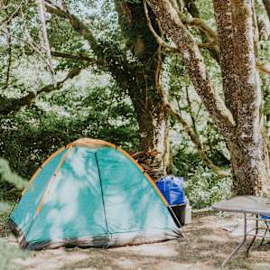 tent forest lodging