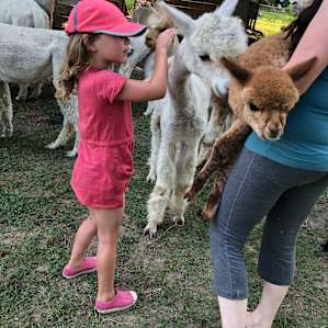 Fiber Farm, Your Tent & More!