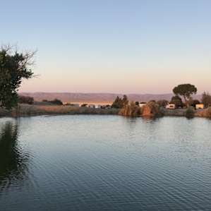 Twisselman’s Glamping by the Pond